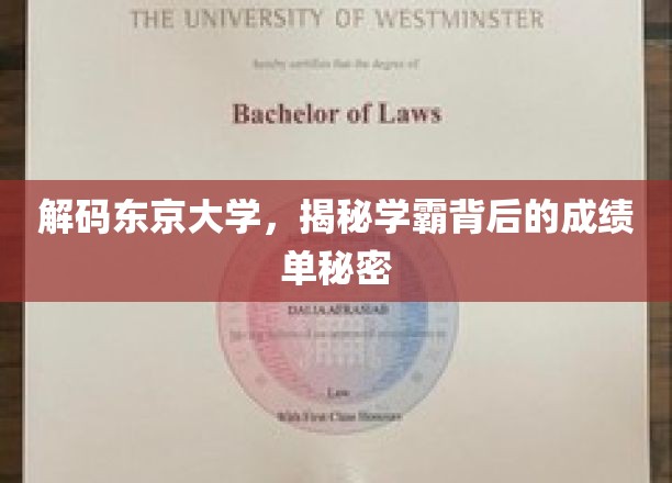 揭开东京大学学霸背后的成绩密码