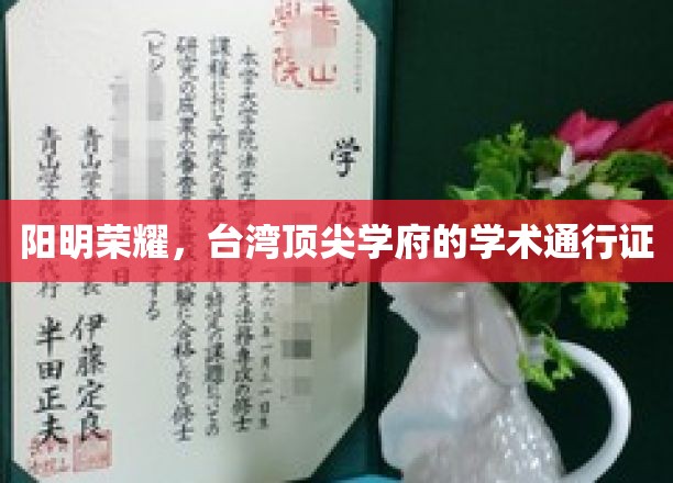 阳明荣耀，台湾顶尖学府的学术通行证