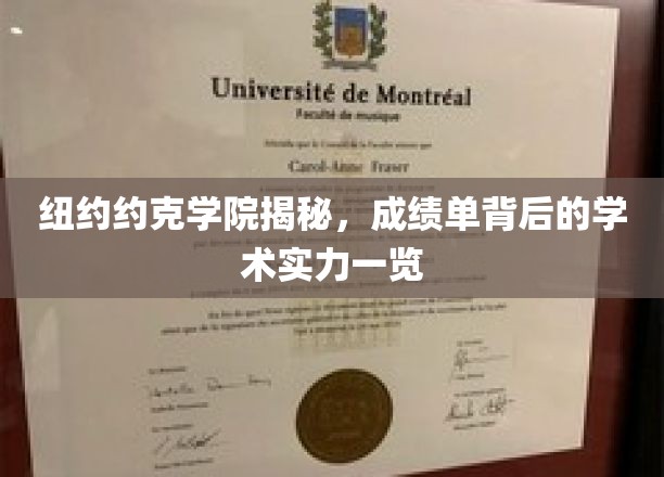 纽约约克学院揭秘，成绩单背后的学术实力一览