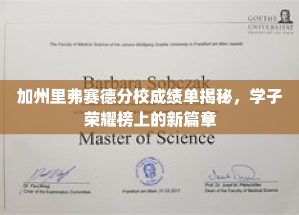 加州里弗赛德分校成绩单揭秘，学子荣耀榜上的新篇章