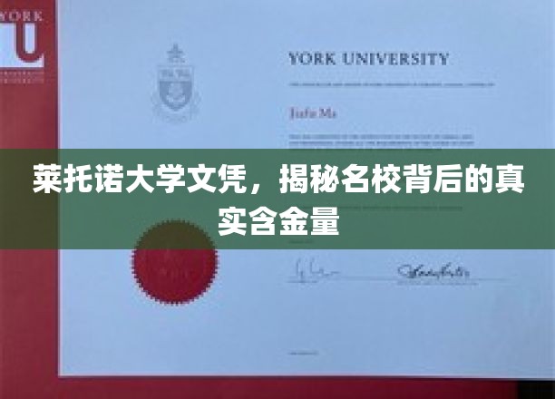 揭开莱托诺大学文凭的神秘面纱，名校光环下的真实价值探秘