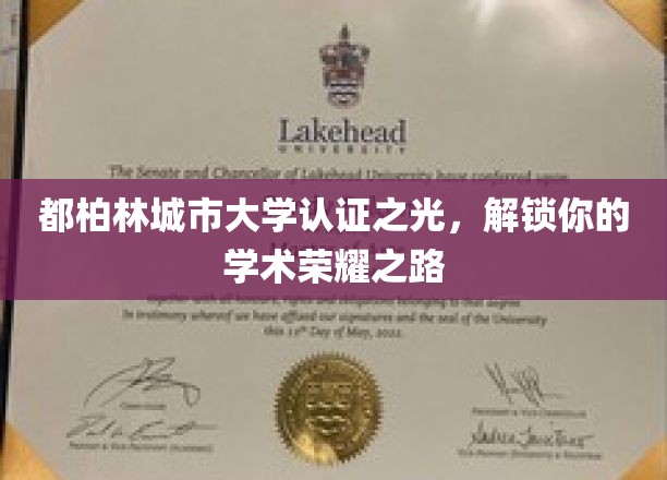 都柏林城市大学认证之光，解锁你的学术荣耀之路