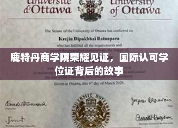 鹿特丹商学院荣耀见证，国际认可学位证背后的故事