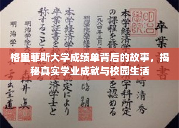 揭开格里菲斯大学成绩单背后的精彩篇章，揭秘真实学途与校园风采