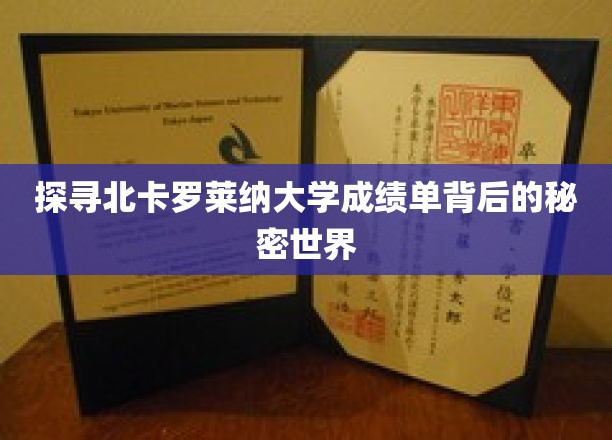 深度揭秘北卡罗莱纳大学成绩单背后的神秘世界