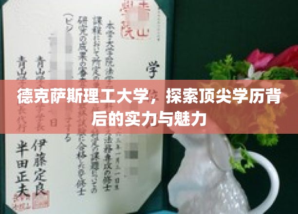 揭秘德克萨斯理工大学，探寻卓越教育的魅力与实力