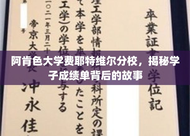 阿肯色大学费耶特维尔分校，揭秘学子成绩单背后的故事