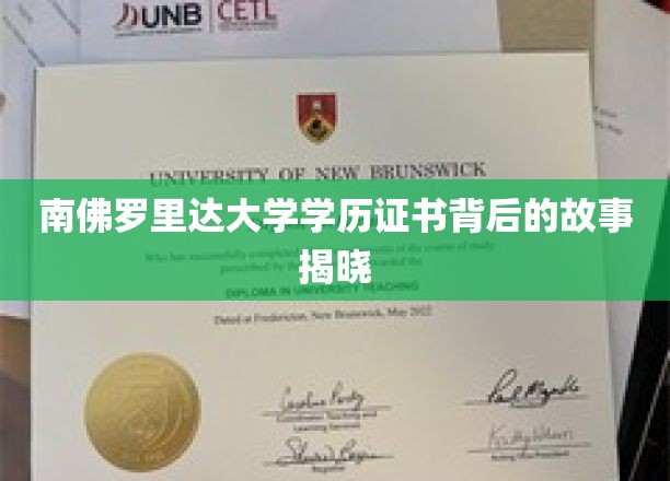 南佛罗里达大学学历证书背后的故事揭晓