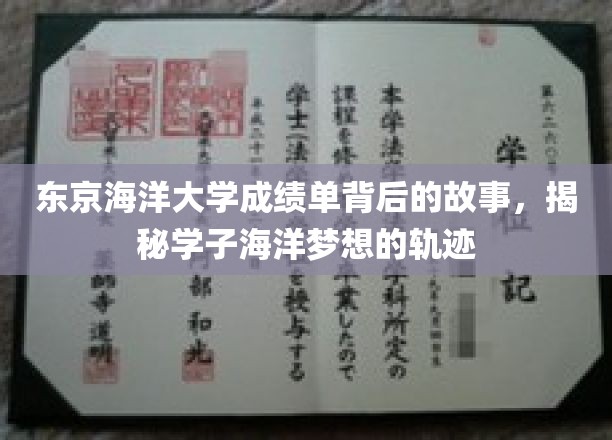 东京海洋大学成绩单背后的故事：揭秘学子追寻海洋梦想的奋斗轨迹