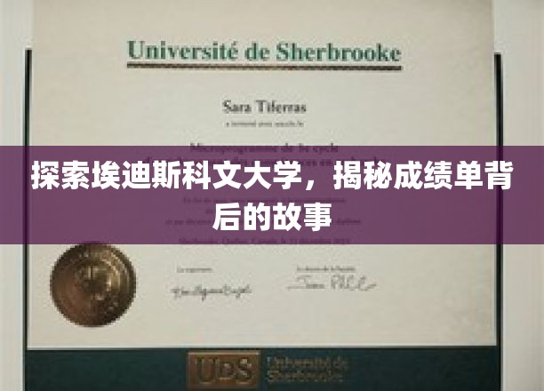 探索埃迪斯科文大学，揭秘成绩单背后的故事