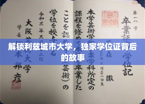 解锁利兹城市大学，独家学位证背后的故事