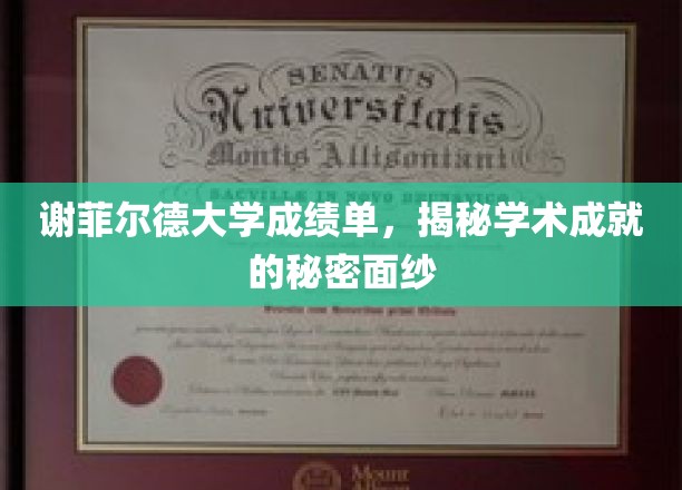 解码谢菲尔德大学卓越背后的成绩单密码