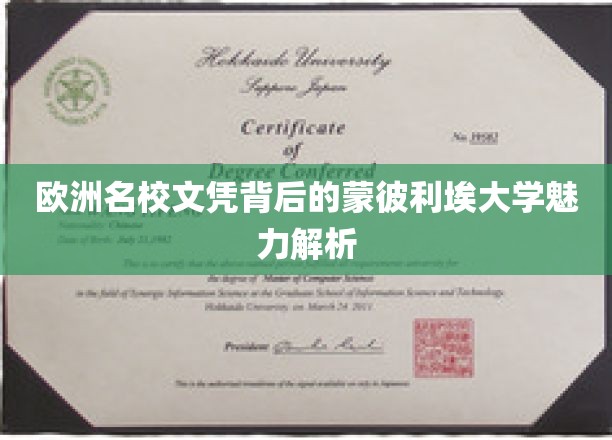 解码蒙彼利埃，探寻欧洲顶尖学府的神秘魅力