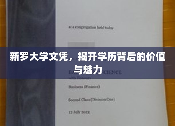 新罗大学文凭，解码高学历的潜力与风采