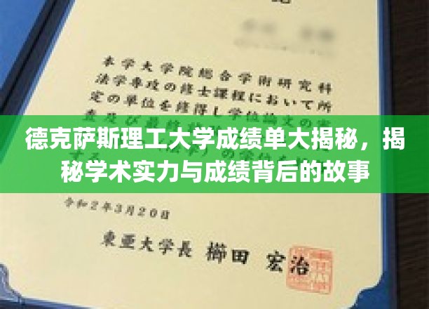 德克萨斯理工大学，揭开学术成绩与实力背后的神秘面纱