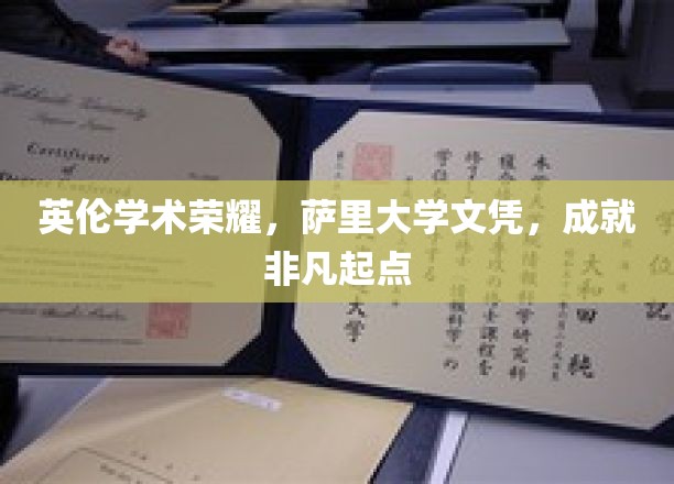 英伦学术荣耀，萨里大学文凭，铸就非凡起点