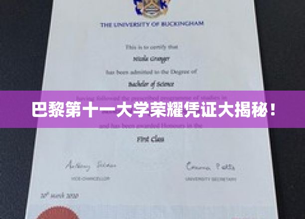 探寻巴黎第十一大学独家荣耀证书背后的秘密