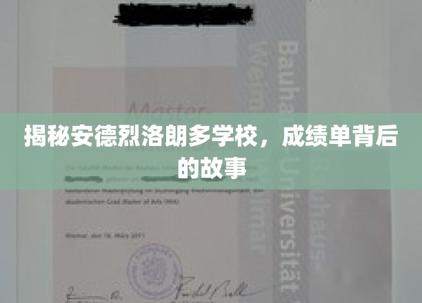 解码安德烈洛朗多学校，揭秘学子成绩背后的非凡历程