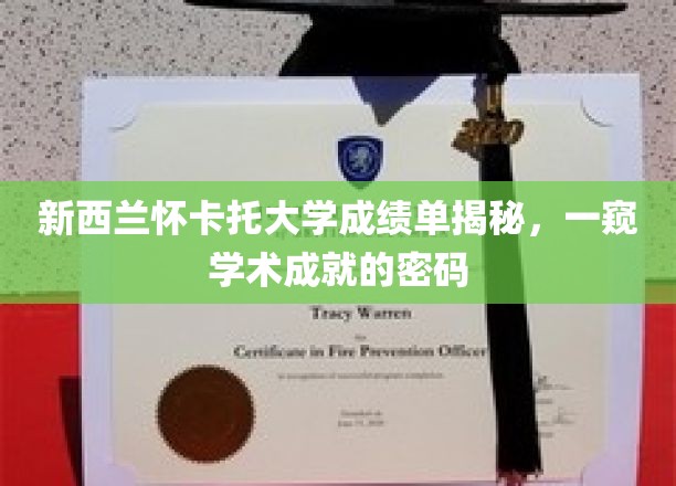 新西兰怀卡托大学成绩单揭秘，一窥学术成就的奥秘