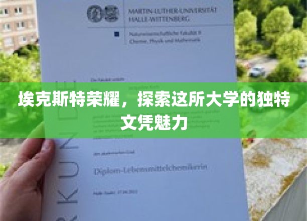 埃克斯特荣耀，探索这所大学的独特文凭魅力