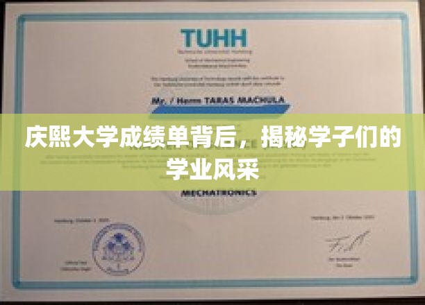 庆熙大学成绩单背后，揭秘学子们的学业风采