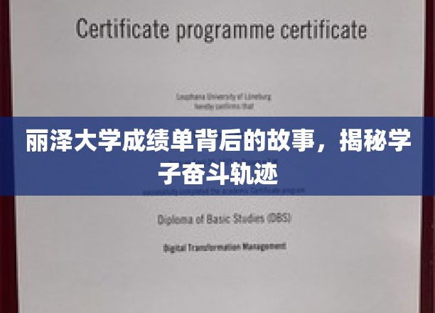 丽泽大学成绩单背后的故事，揭秘学子奋斗轨迹