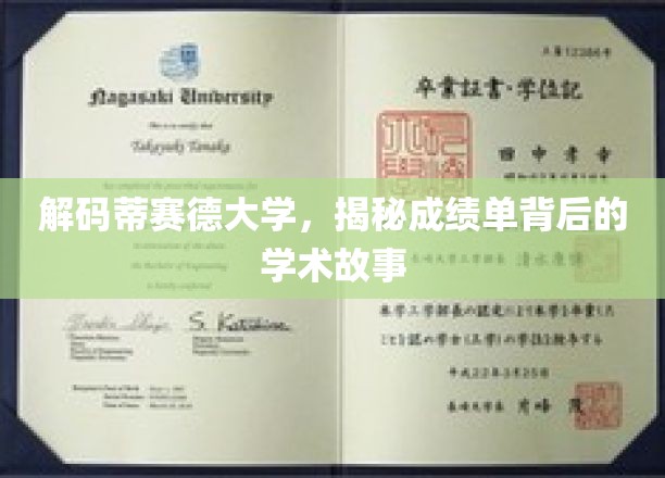 蒂赛德大学揭秘，揭开成绩单背后的学术秘境