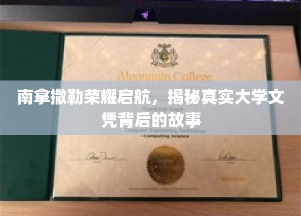 南拿撒勒荣耀启航，揭秘真实大学文凭背后的故事