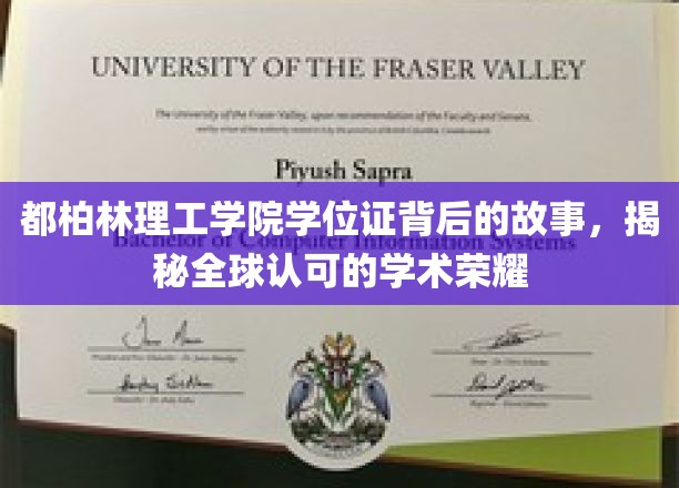 探索都柏林理工学院学位证的荣耀足迹，全球认可的学术传奇揭秘