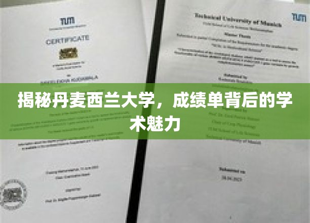 探寻丹麦西兰大学，揭开成绩单背后的学术风采