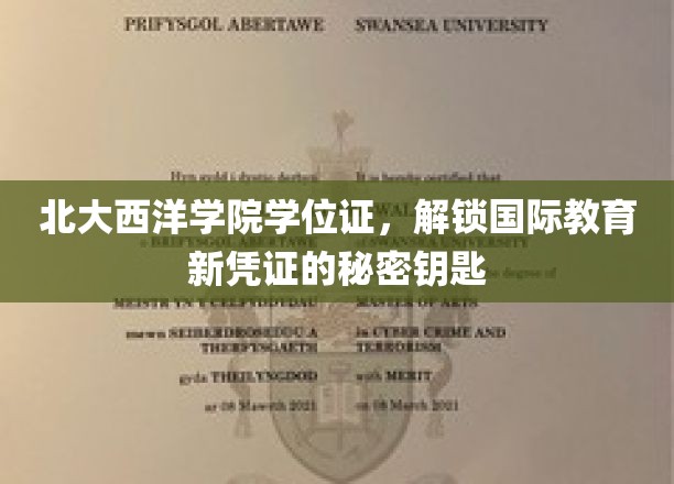 北大西洋学院学位证，开启全球教育之门的关键钥匙