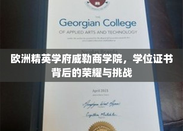 解码威勒商学院，荣耀学位背后的欧洲精英之路