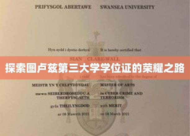 图卢兹第三大学学位证，揭开荣耀背后的奋斗篇章