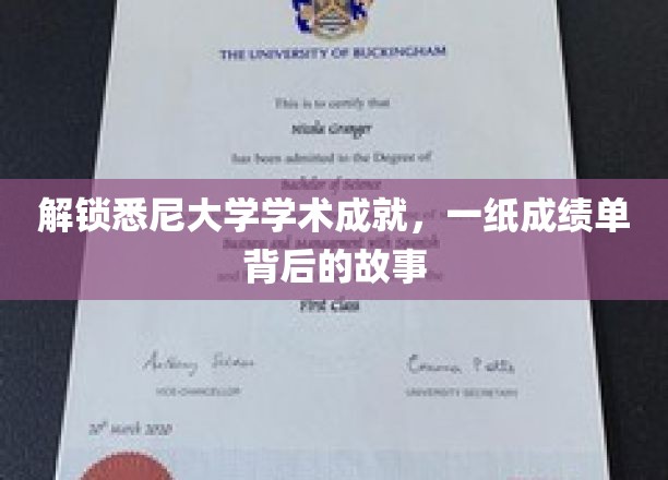 解锁悉尼大学学术成就，一纸成绩单背后的故事
