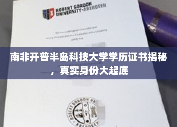 揭开南非开普半岛科技大学学历真面目，探秘背后的故事与真相