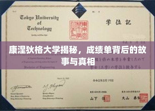 解码康涅狄格，揭开成绩单背后的神秘面纱
