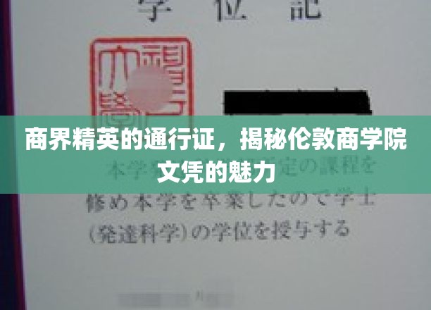 解码伦敦商学院，商界精英的黄金文凭之路