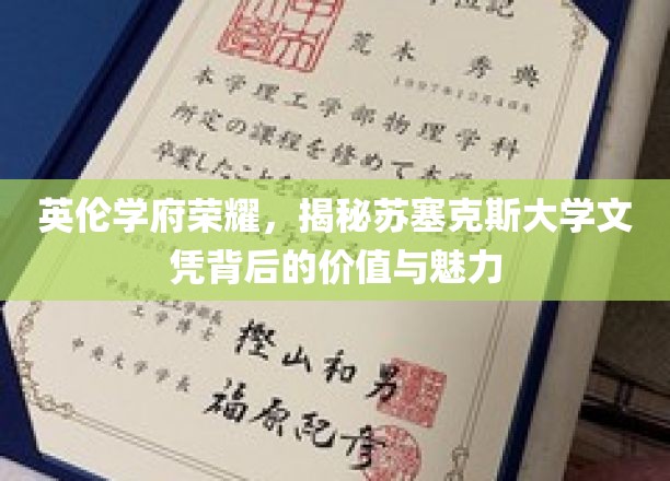 英伦学府荣耀，一探苏塞克斯大学文凭的价值与魅力