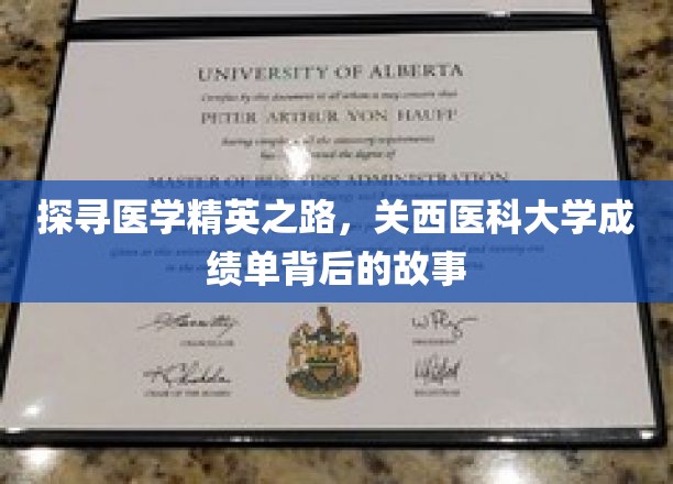 医学巅峰之路，揭秘关西医科大学精英背后的奋斗历程