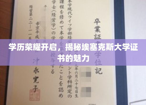 埃塞克斯大学证书闪耀，解锁学历荣耀新篇章