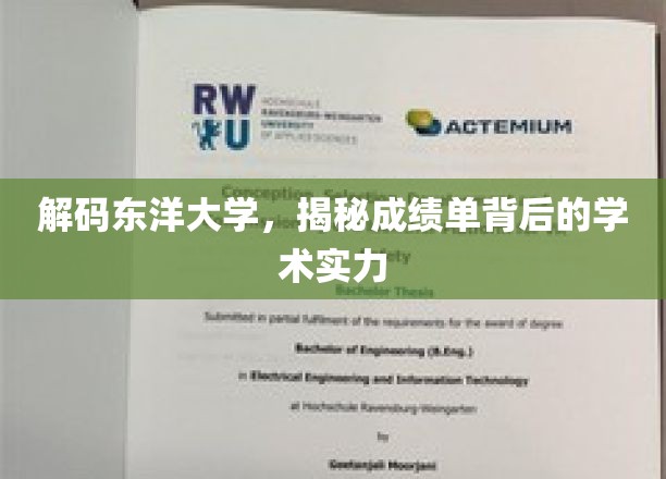 东洋大学成绩单揭秘，探寻学术实力的真实面貌