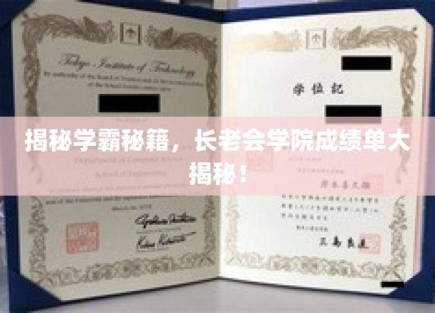 揭开顶尖学府的学霸传奇，长老会学院成绩单背后的惊人真相