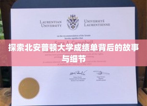 深入探索北安普顿大学成绩单背后的故事与细节
