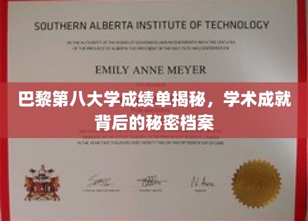巴黎第八大学成绩单揭秘：探寻学术成就背后的秘密档案