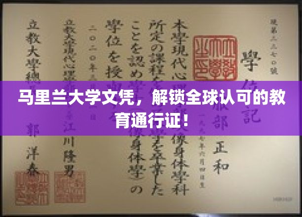 马里兰大学文凭，解锁全球认可的教育通行证！