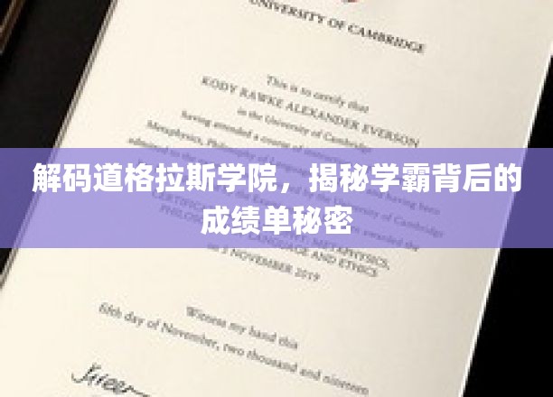 解码道格拉斯学院，揭示学霸背后的成绩单奥秘