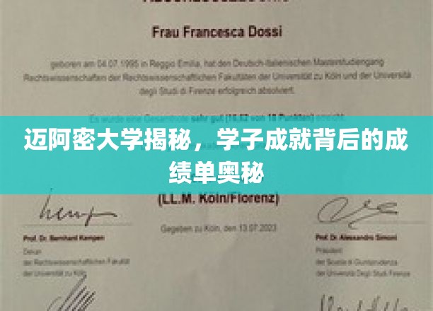 迈阿密骄子背后的学术秘籍，揭秘学子辉煌成就的秘密武器