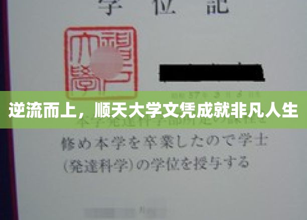 逆风翻盘，顺天大学文凭铸就非凡人生路