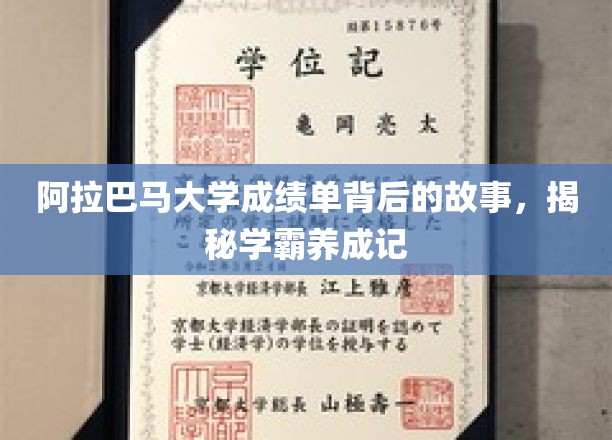 阿拉巴马大学成绩单背后的故事，揭秘学霸养成记