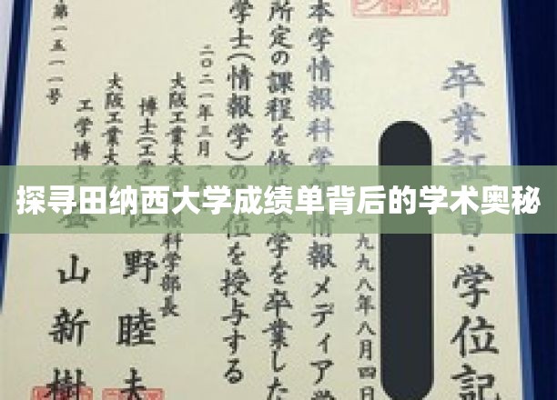 探寻田纳西大学成绩单背后的学术奥秘
